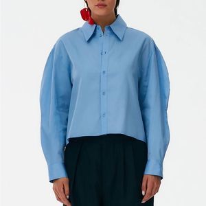 TiBi Miles Shirting Scallop Sleeve Cropped Boyfriend Shirt